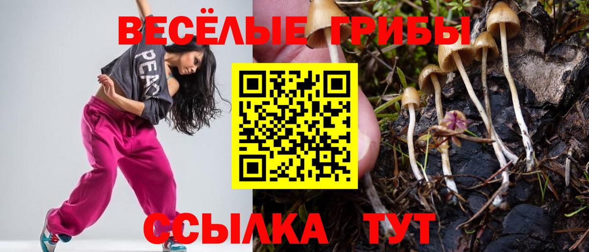 Выкса  Галлюциногенные грибы Cubensis  Вход с VPN 