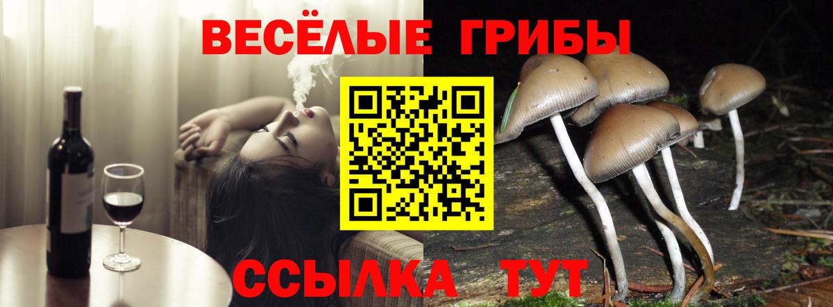 Псилоцибиновые грибы ЛСД Выкса